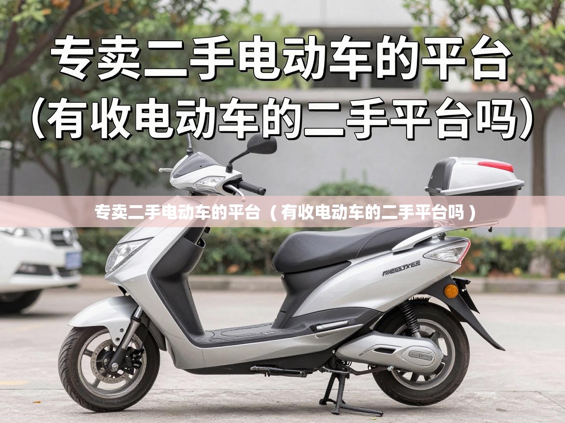  专卖二手电动车的平台  ( 有收电动车的二手平台吗 )