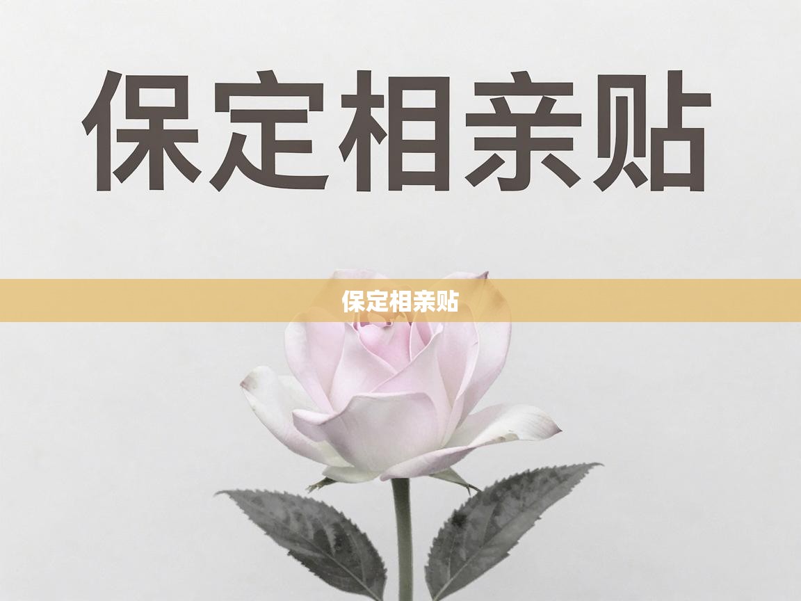  保定相亲贴 