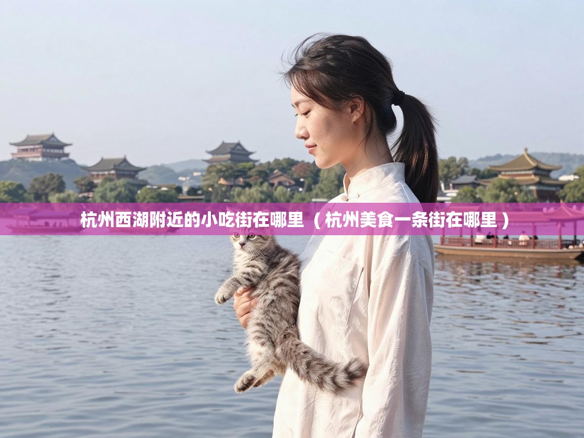  杭州西湖附近的小吃街在哪里  ( 杭州美食一条街在哪里 )