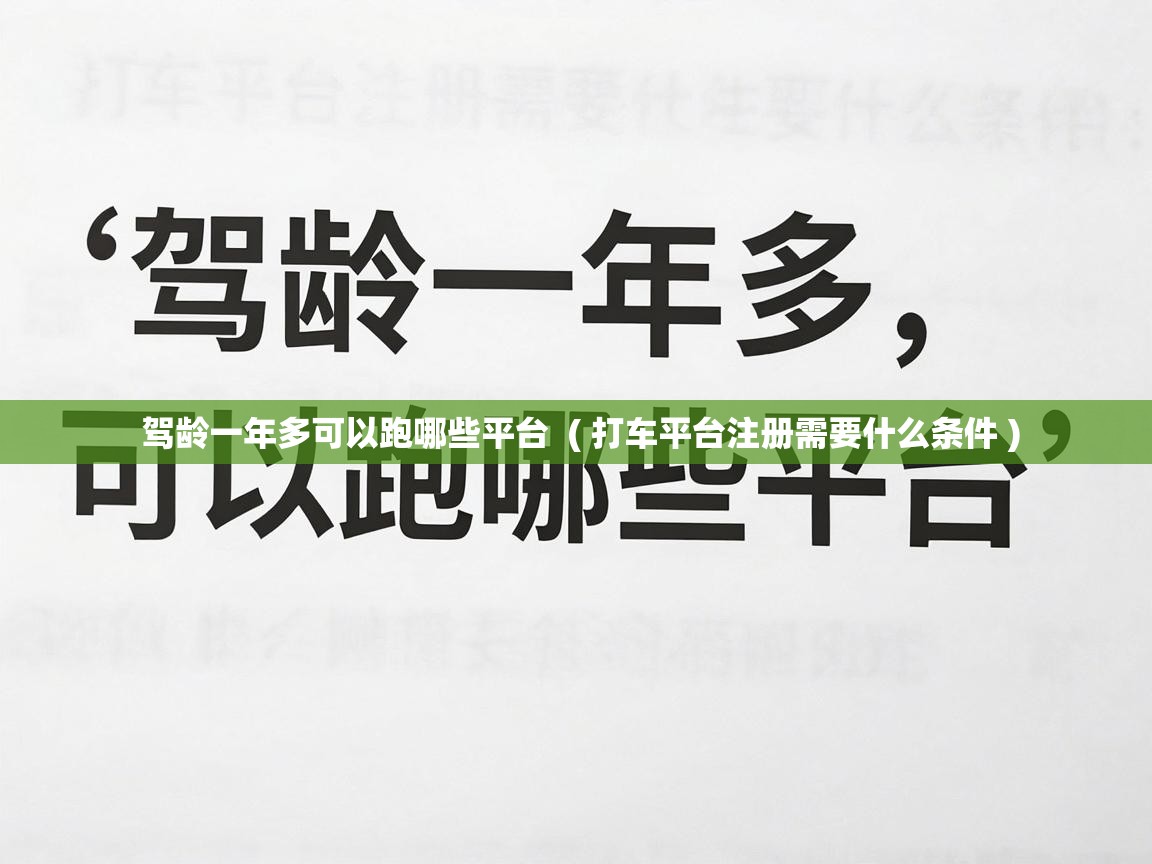  驾龄一年多可以跑哪些平台  ( 打车平台注册需要什么条件 )