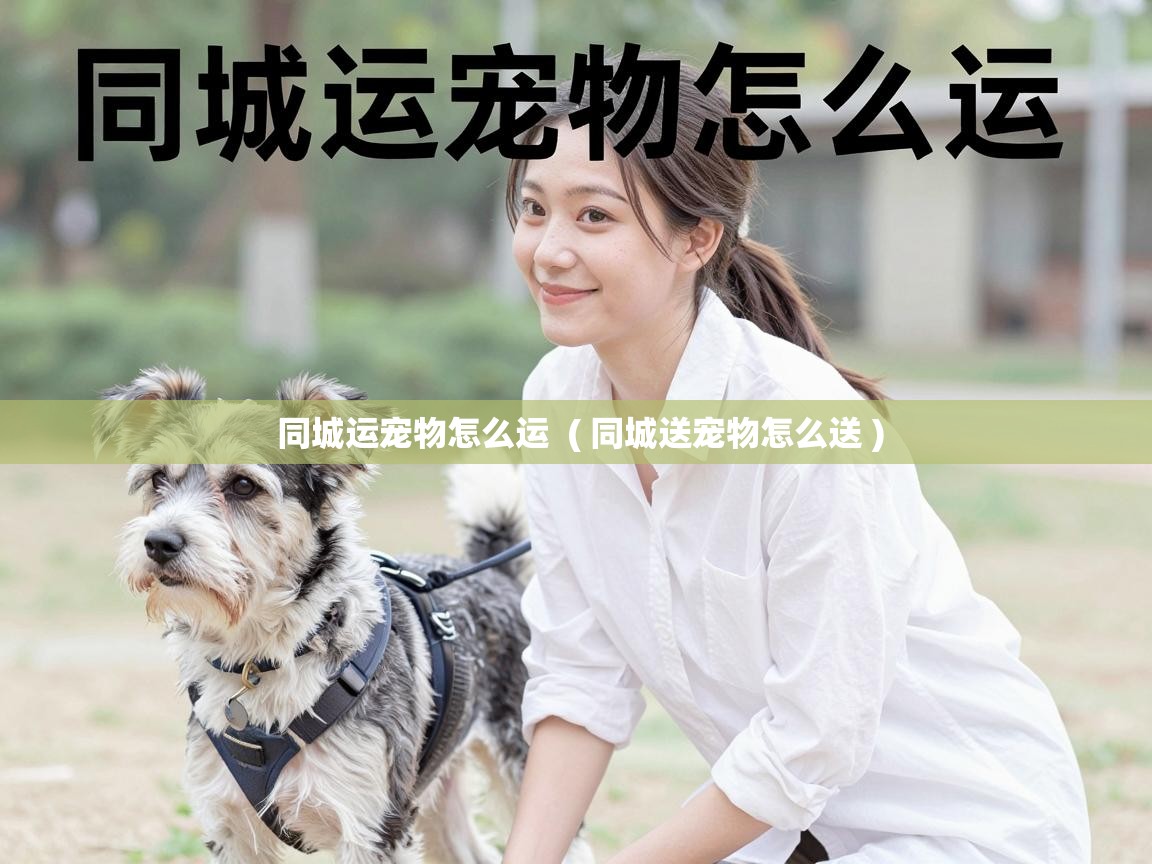  同城运宠物怎么运  ( 同城送宠物怎么送 )