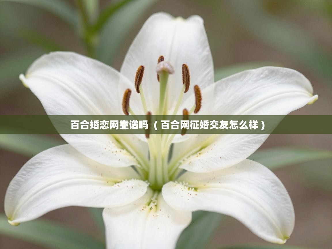  百合婚恋网靠谱吗  ( 百合网征婚交友怎么样 )