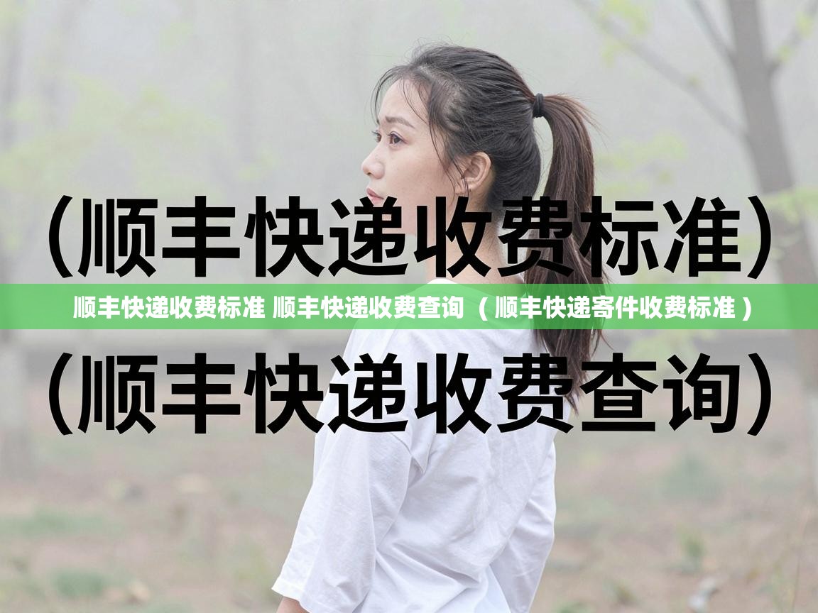  顺丰快递收费标准 顺丰快递收费查询  ( 顺丰快递寄件收费标准 )