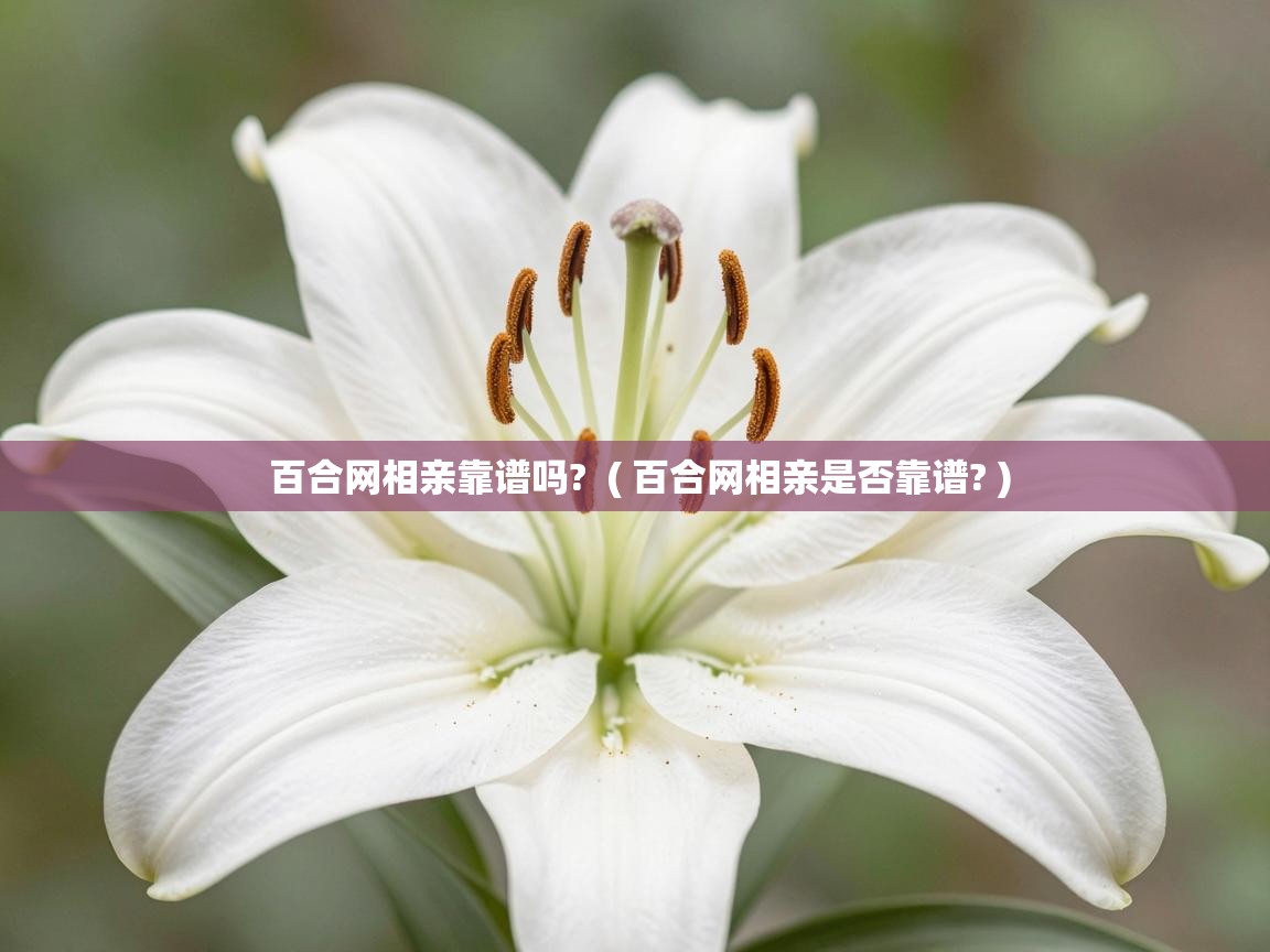  百合网相亲靠谱吗?  ( 百合网相亲是否靠谱? )