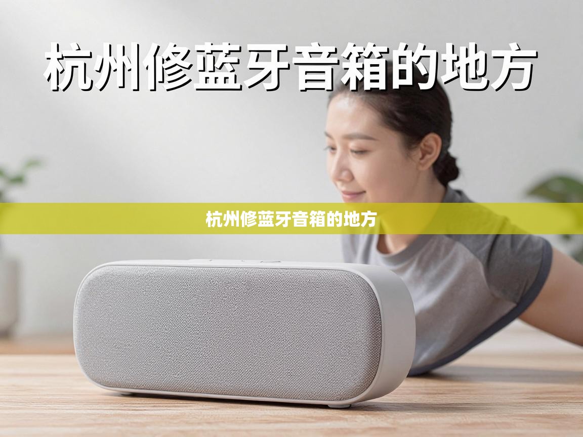  杭州修蓝牙音箱的地方 