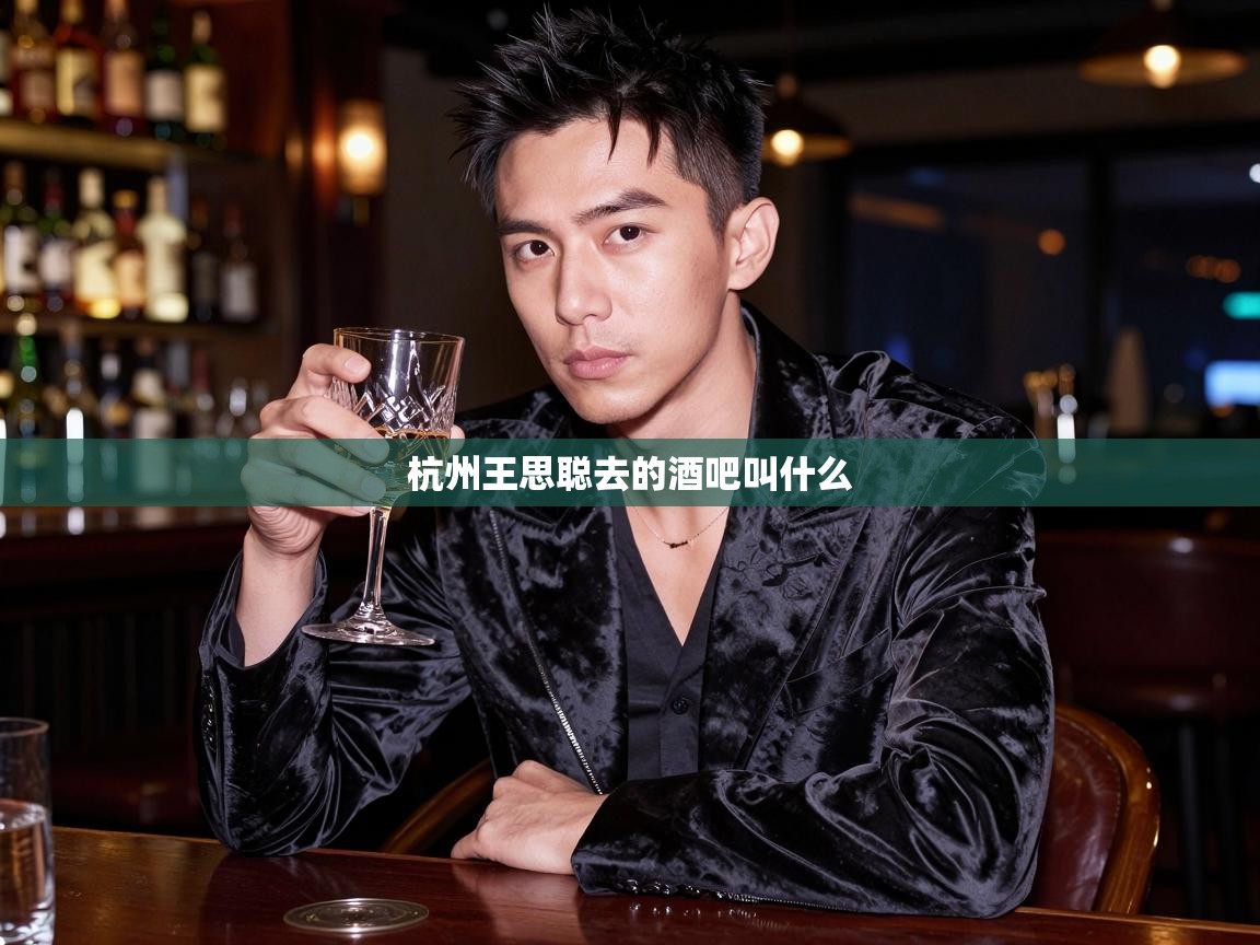 杭州王思聪去的酒吧叫什么 