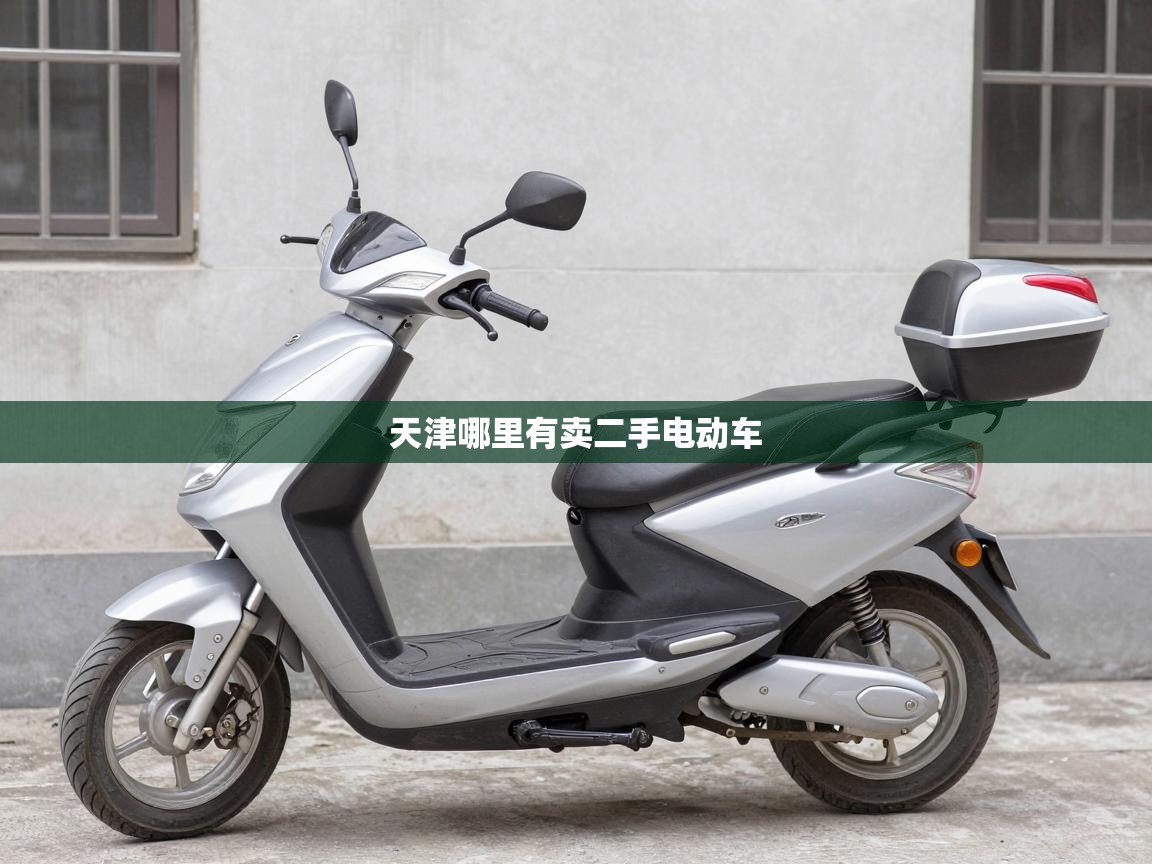  天津哪里有卖二手电动车 