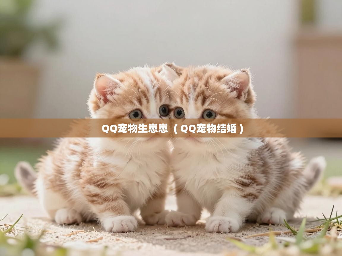  QQ宠物生崽崽  ( QQ宠物结婚 )