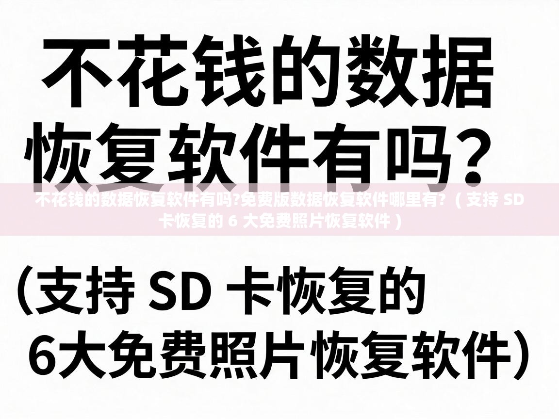  不花钱的数据恢复软件有吗?免费版数据恢复软件哪里有?  ( 支持 SD 卡恢复的 6 大免费照片恢复软件 )