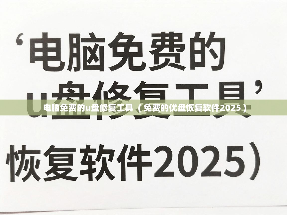  电脑免费的u盘修复工具  ( 免费的优盘恢复软件2025 )