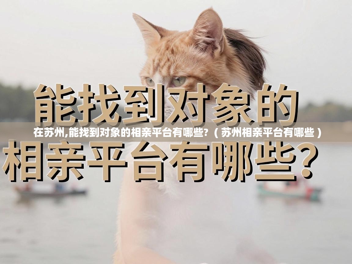  在苏州,能找到对象的相亲平台有哪些?  ( 苏州相亲平台有哪些 )