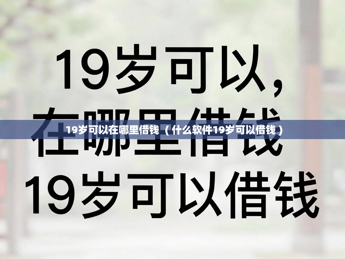  19岁可以在哪里借钱  ( 什么软件19岁可以借钱 )