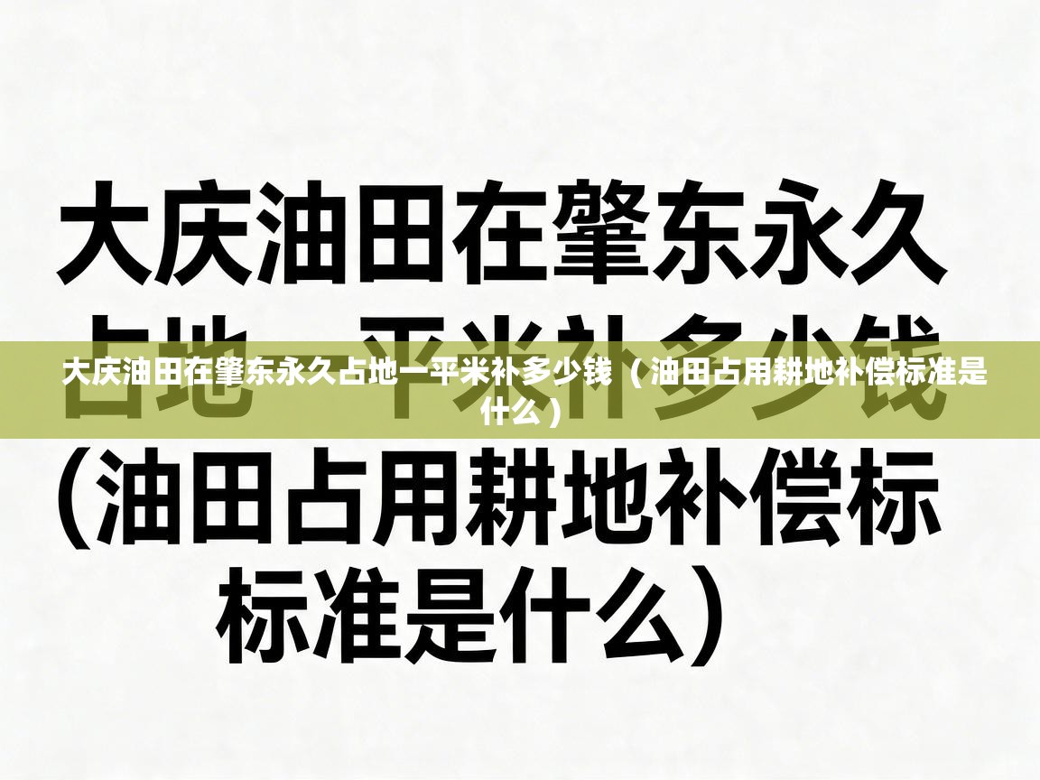  大庆油田在肇东永久占地一平米补多少钱  ( 油田占用耕地补偿标准是什么 )